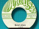 Original PARAGONS- QUIET PLACE- ANDY'S- NM-  ?