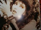 Kate Bush. Signed. Autographed 'Dreaming' Original LP