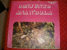 ANGOLA CONJUNTO ANANGOLA PUXA ODETTE AFRO PSYCH FUNK