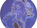 Madonna EROTICA picture disc 12