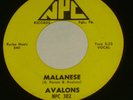 AVALONS Virginia R & B Group NPC 45 