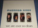 BLOSSOM TOES We Are Ever So Clean V. RARE ORIG UK EX++