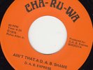 FUNK 45 RPM - D.A.B. EXPRESS on DHA-RU-WA RECORDS