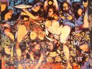 NM-  THE TRAGICALLY HIP LP - FULLY COMPLETELY