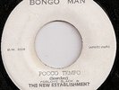 THE NEW ESTABLISHMENT / POCCO TEMPO / LISTEN