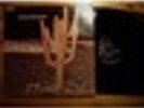 INDIAN SUMMER  33T original Neon records  /RARE