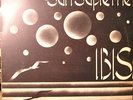 IBIS - Sun Supreme - Original Italian Prog