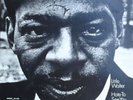 Little Walter: Hate To See You Go-Usd 1972 Chess Record