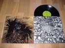 VINYL: PROTECTOR Urm the mad LP 1989 THRASH METAL top