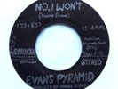 EVANS PYRAMID 