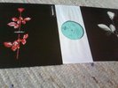 DEPECHE MODE Violator - Club Edition 66 868-1 Vinyl LP