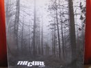 The CURE   A FOREST   UK Ficsx 10 - 12