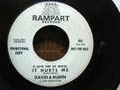 SOUL 45  DAVID & RUBEN  It Hurts Me  CLICK TO HEAR