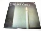 SONIC YOUTH- DAYDREAM NATION -LP/RECORD