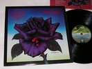 THIN LIZZY Black Rose (UK Orig LP 1#1/2#2 + Inner) EX++