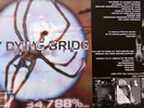 My Dying Bride * 34.788 % complete LP * RARE doom