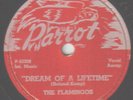 RARE 1954 R&B/Voc. GROUP 78 rpm-THE FLAMINGOS on PARROT