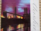 Northern Picture Library  Alaska  LP   Field Mice Sarah