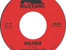 RANDY FULLER Pop & Rock MUSTANG 45 #3020 MINT