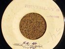 MAYTALS - 54-46 - PRE RELEASE Records REGGAE 45