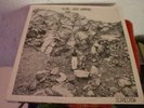 DOUG HAMMOND ALONE RARE GERMAN SCARECROW 803