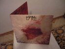 dischi lp Litfiba   17 RE vinile doppio