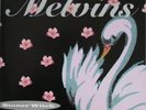 Melvins - Stoner Witch LP High On Fire Colored Vinyl
