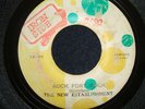 THE NEW ESTABLISHMENT - ROCK FORT ROCK 45