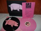 PINK FLOYD LIVE IN ZURICH 2 LP PICTURE. RARISSIMO