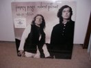 Robert Plant/Jimmy Page 