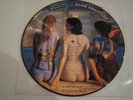 Pink Floyd,Rare Beauties,Picture LP,Vinyl,LP,Rarität