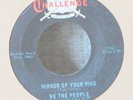 MONSTER Fla Garage 45-We The People-Mirror of Your Mind