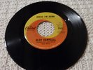 GLEN CAMPBELL GUESS I'M DUMB  BRIAN WILSON BEACH BOYS