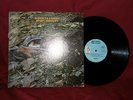 JIMMY BUFFETT - DOWN TO EARTH/1970 BARNABY - 1st Album