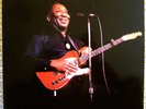 MUDDY WATERS & THE STONES- SWEET HOME CHICAGO RARE 2LPs
