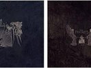 Alcest/Les Discrets Split LP (Peste Noire,Lantlos)