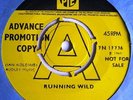 FRESH AIR - RUNNING WILD DEMO - PYE