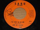 OHIO NORTHERN FUNK 45 - OUT OF SIGHTS - SARU 1614
