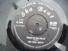 Train to ska-ville by the Soul Bro's