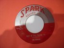 45 RPM The Robins Riot In Cell Block #9 Spark 103