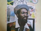MIKEY DREAD Evolutionary Rockers AT THE CONTROLS hear