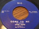 LIVIN ENND COME TO ME GREAT GARAGE PSYCH fuzz 45 *RARE*