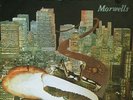 THE MORWELLS / CRAB RACE / LP / 1977