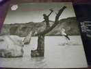 TONTON MACOUTE RARE PSYCH LP 1ST PRESS ON NEON 