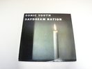 SONIC YOUTH- DAYDREAM NATION  -LP/RECORD