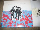 THIS KIND OF PUNISHMENT - A Beard of Bees lp Flying Nun