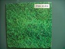 RARE-FREEDIMENSION-LIVING MUSIC TO ALLEN GINSBERG-RCA-