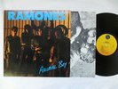 RAMONES LP : Animal Boy, w/ Inner Sleeve, 1986 NM