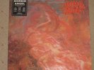 Morbid Angel Blessed are the Sick LP Schallplatte