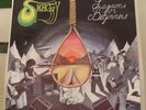 Shaggy - Lessons for beginners  Rare original LP